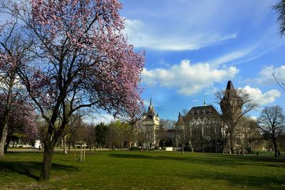 Budapest, Vajdahunyad vára-stock-foto