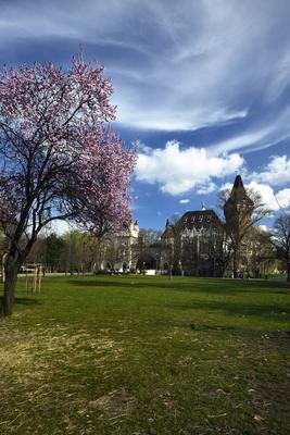 Budapest, Vajdahunyad vára-stock-foto