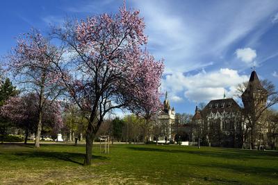 Budapest, Vajdahunyad vára-stock-foto
