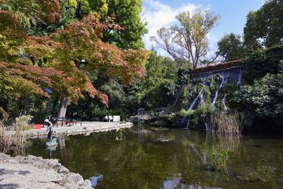 Budapest, Margit-sziget-stock-foto