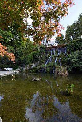 Budapest, Margit-sziget-stock-foto