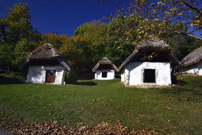 Cáki pincesor-stock-foto