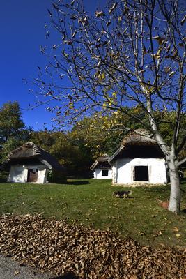 Cáki pincesor-stock-foto