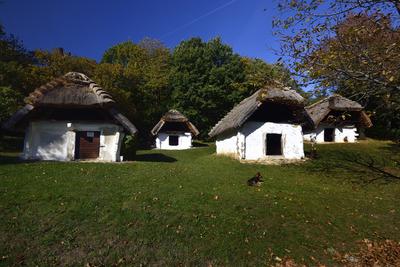 Cáki pincesor-stock-foto