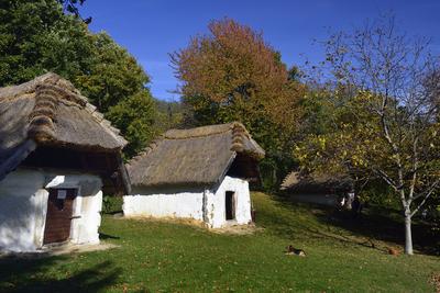 Cáki pincesor-stock-foto