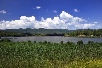 Diósjenő-stock-foto