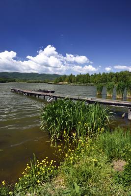 Diósjenő-stock-foto