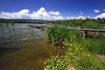 Diósjenő-stock-foto