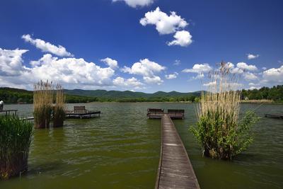 Diósjenő-stock-foto