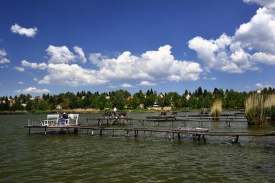 Diósjenő-stock-foto