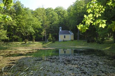 Bakonybél, Borostyán-kúti tó-stock-foto