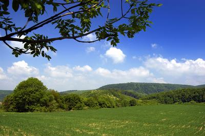 A Bakony látványa Bakonybélből-stock-foto