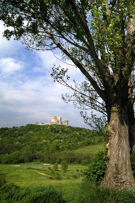 A Cseszneki Vár látványa a Bakony hegységben-stock-foto