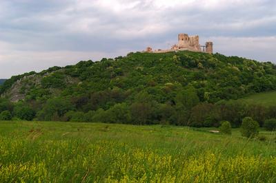 A Cseszneki Vár látványa a Bakony hegységben-stock-foto