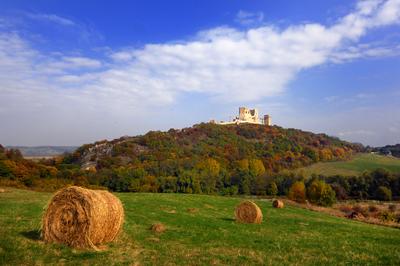 A Cseszneki Vár látványa a Bakony hegységben-stock-foto