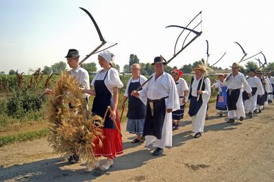 Aratónap, Jászapáti-stock-foto