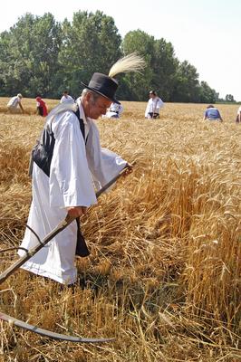 Aratónap, Jászapáti-stock-foto