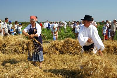 Aratónap, Jászapáti-stock-foto