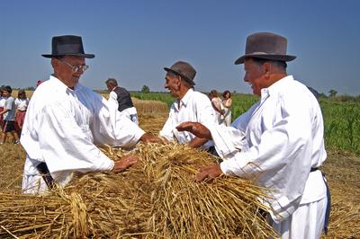 Aratónap, Jászapáti-stock-foto
