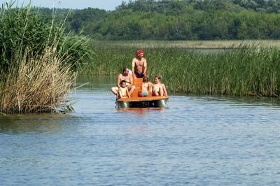 Tisza-tó-stock-foto