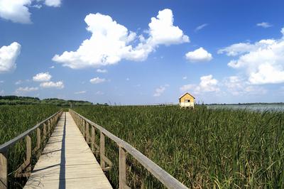 Tisza-tó-stock-foto
