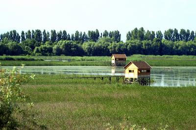 Tisza-tó-stock-foto