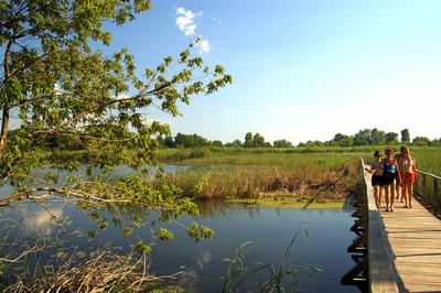 Tisza-tó-stock-foto