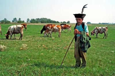 Tiszafüred-stock-foto