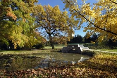 Tiszakürti Arborétum-stock-foto
