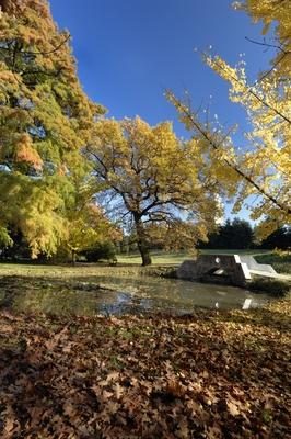 Tiszakürti Arborétum-stock-foto