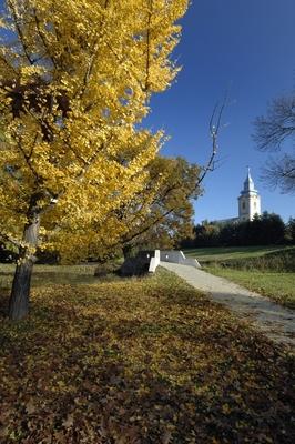 Tiszakürti Arborétum-stock-foto