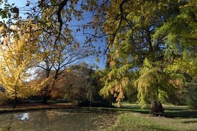 Tiszakürti Arborétum-stock-foto