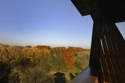 Tiszakürti Arborétum-stock-foto