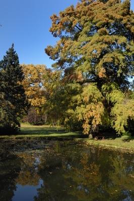 Tiszakürti Arborétum-stock-foto