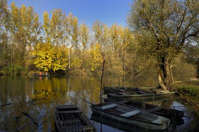 Gemenci-erdő-stock-foto