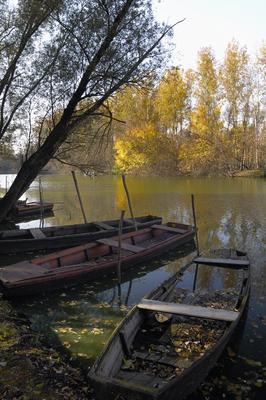 Gemenci-erdő-stock-foto