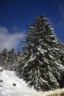 Galyatető-stock-foto