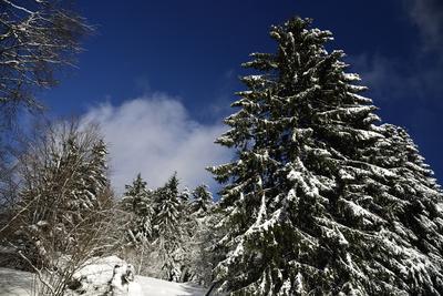 Galyatető-stock-foto
