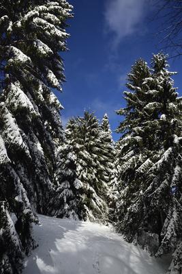 Galyatető-stock-foto