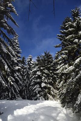 Galyatető-stock-foto