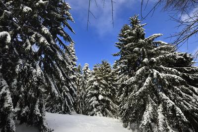 Galyatető-stock-foto
