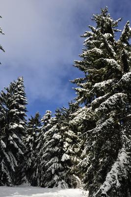 Galyatető-stock-foto
