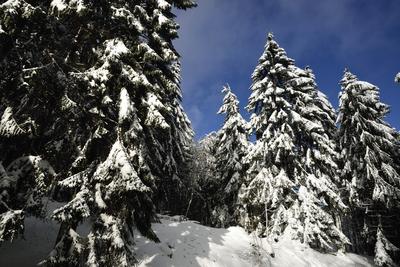 Galyatető-stock-foto