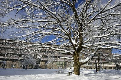 Galyatető-stock-foto