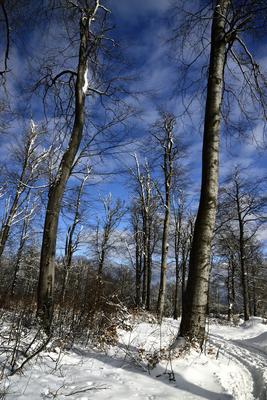 Galyatető-stock-foto