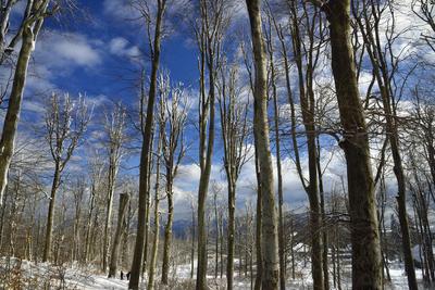 Galyatető-stock-foto