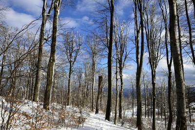 Galyatető-stock-foto