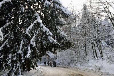 Galyatető-stock-foto