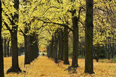 Gödöllő-stock-foto