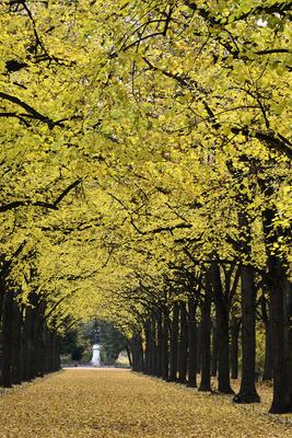 Gödöllő-stock-foto
